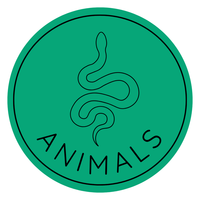 Animals