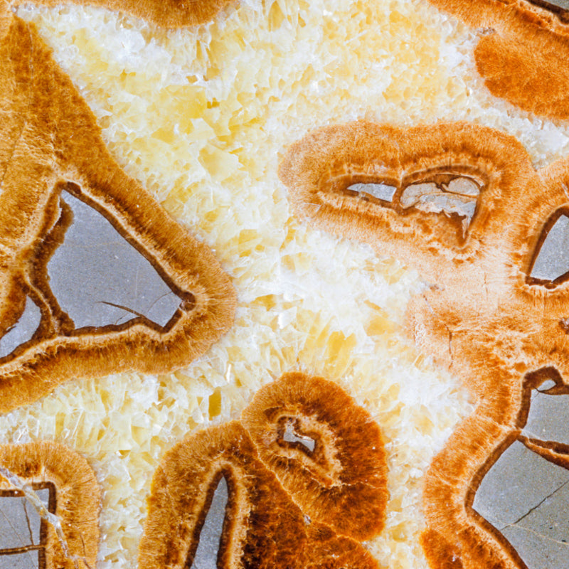 Septarian