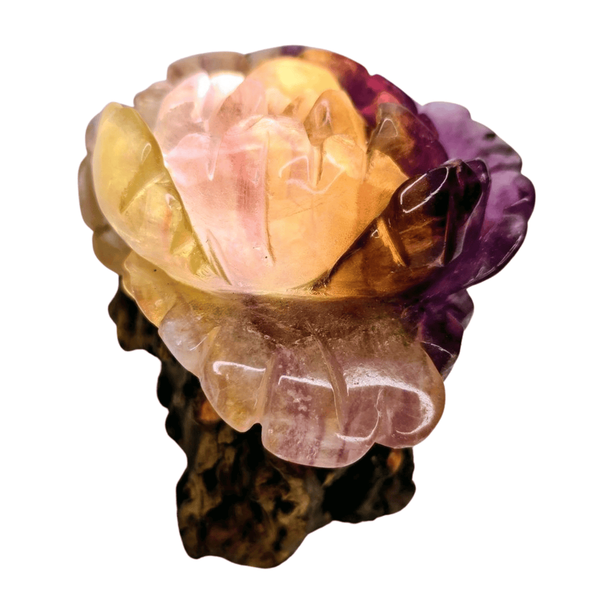 Candy Fluorite Rose with Lamp