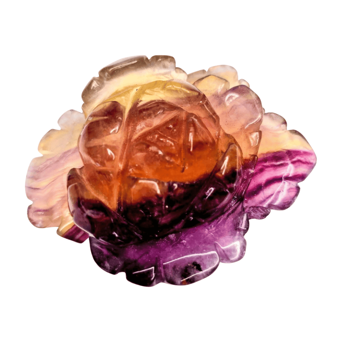 Candy Fluorite Rose with Lamp