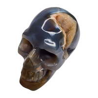 Blue Agate Druzy Skull