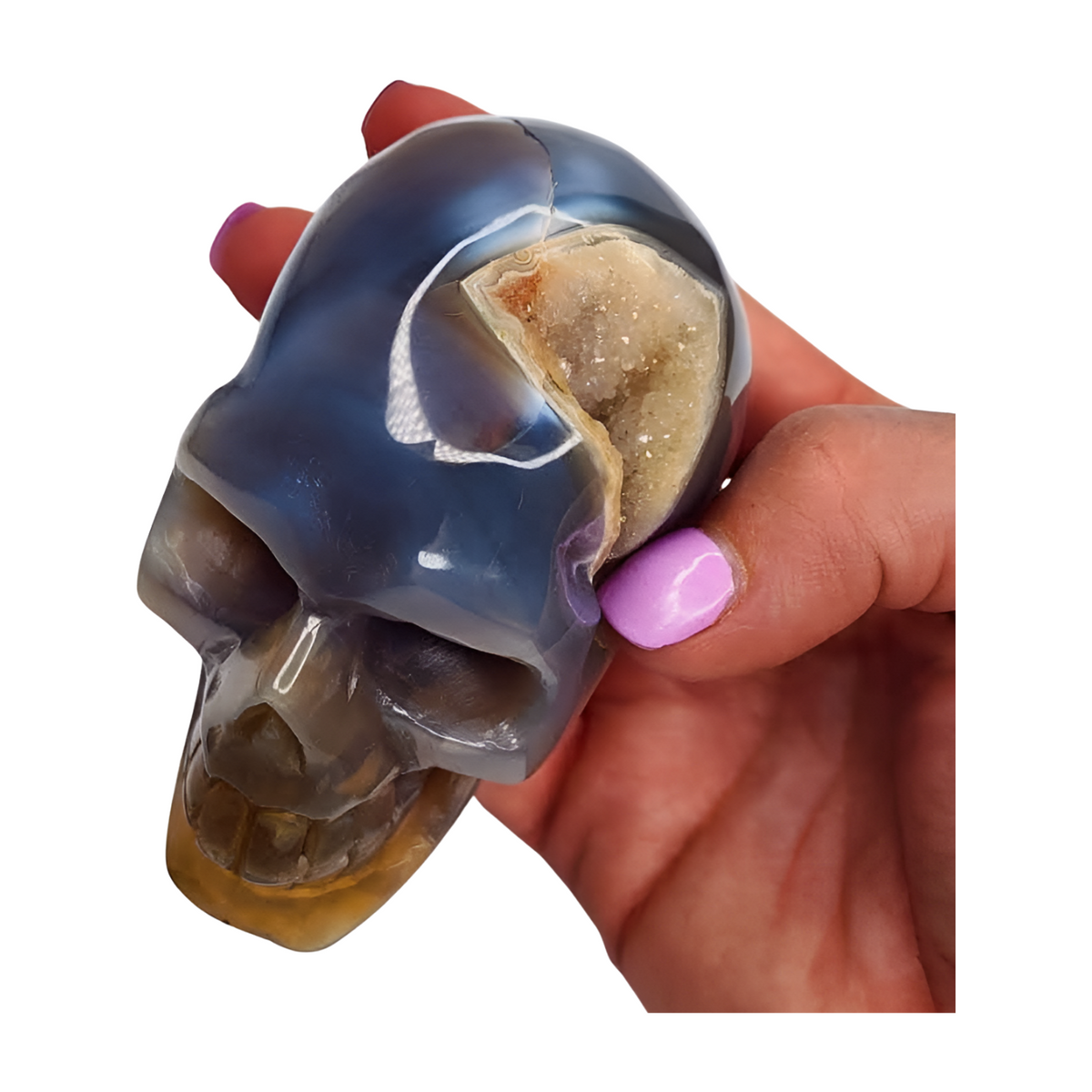 Blue Agate Druzy Skull