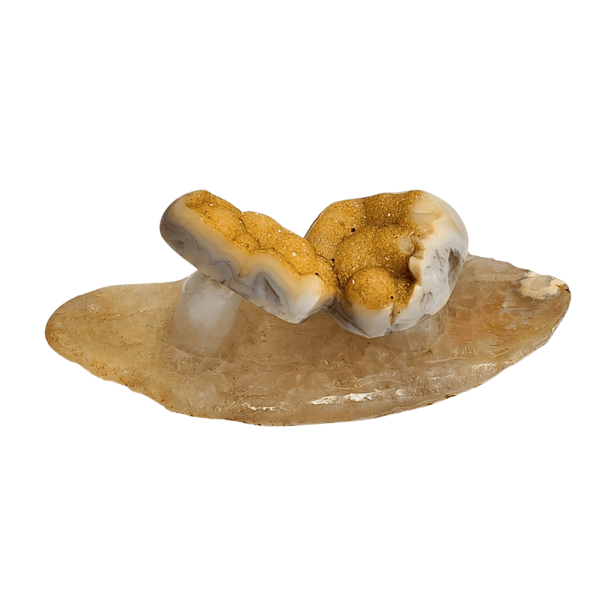 Agate Druzy Mushroom