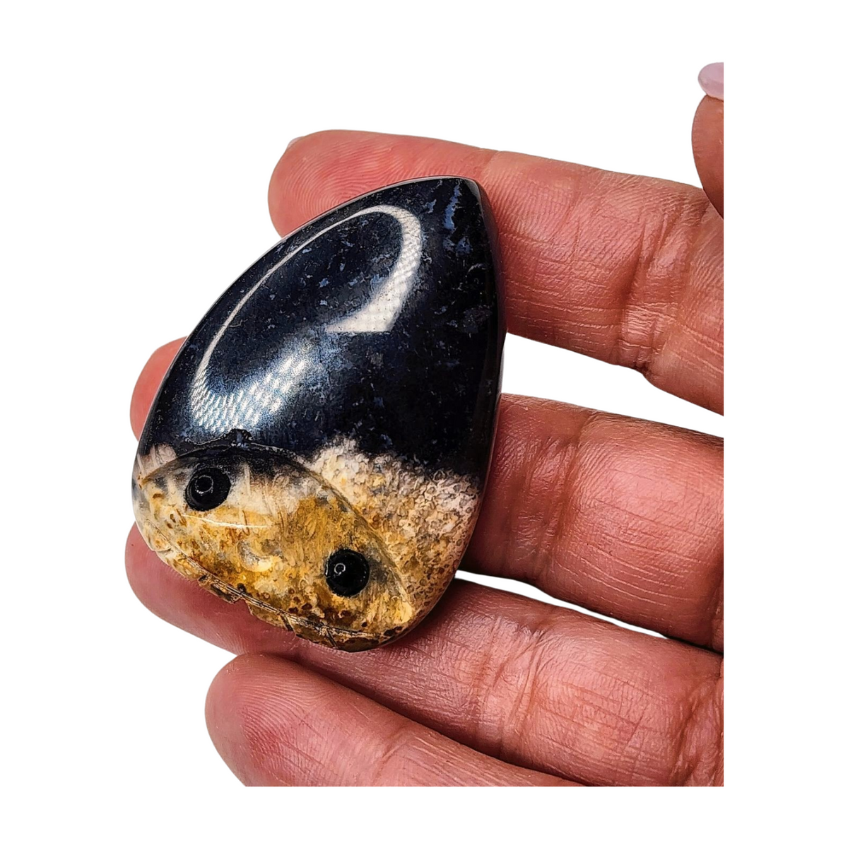 Agate Pet Rock