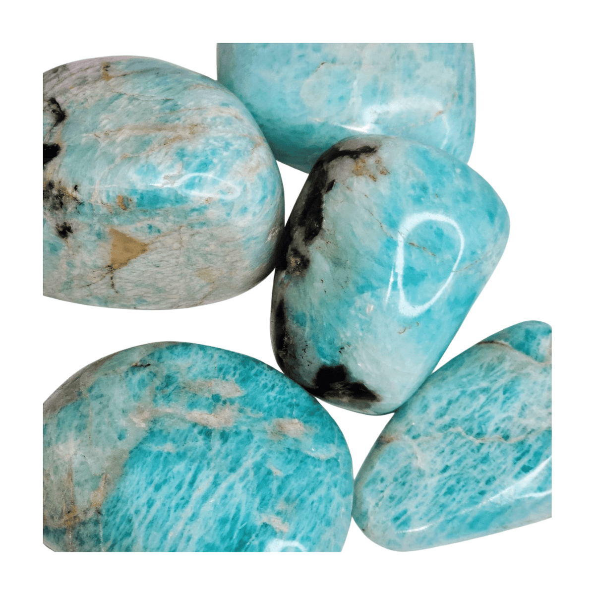 Amazonite Palm Stone