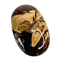 Amber Palm Stone