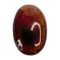 Amber Palm Stone