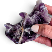 Amethyst Triceratops Skull