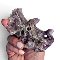 Amethyst Triceratops Skull