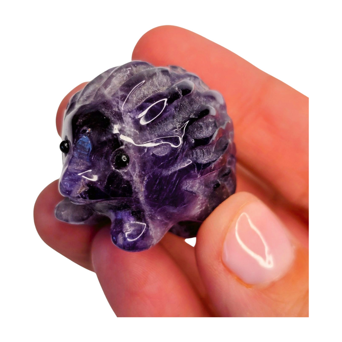 Amethyst Hedgehog