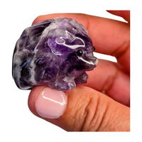 Amethyst Hedgehog