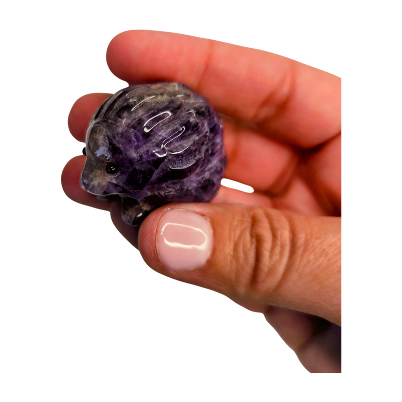 Amethyst Hedgehog