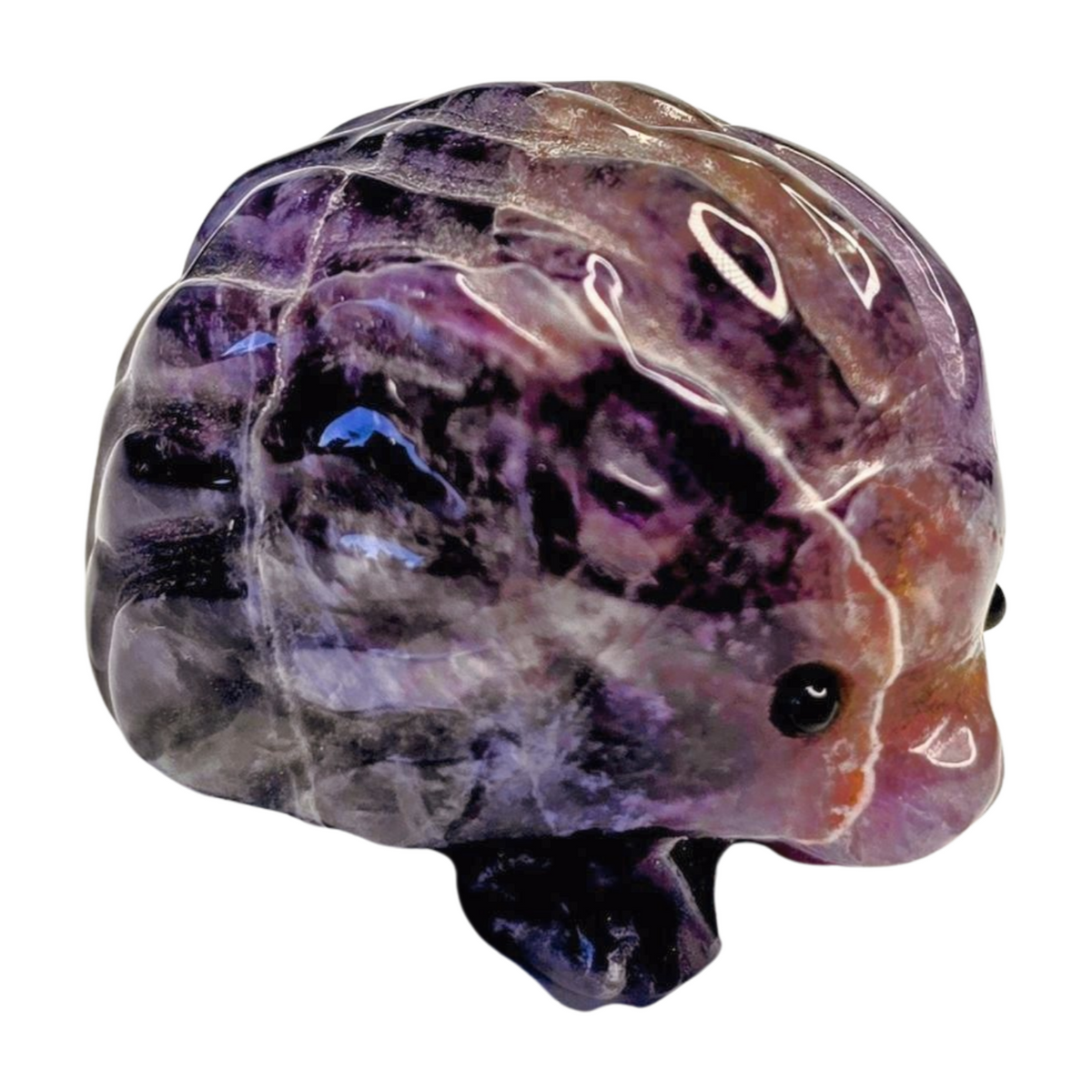 Amethyst Hedgehog