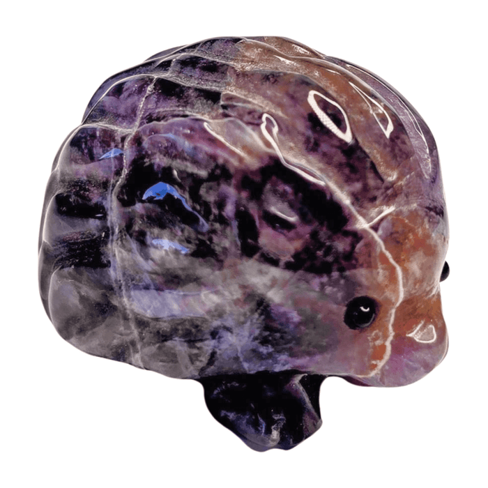 Amethyst Hedgehog