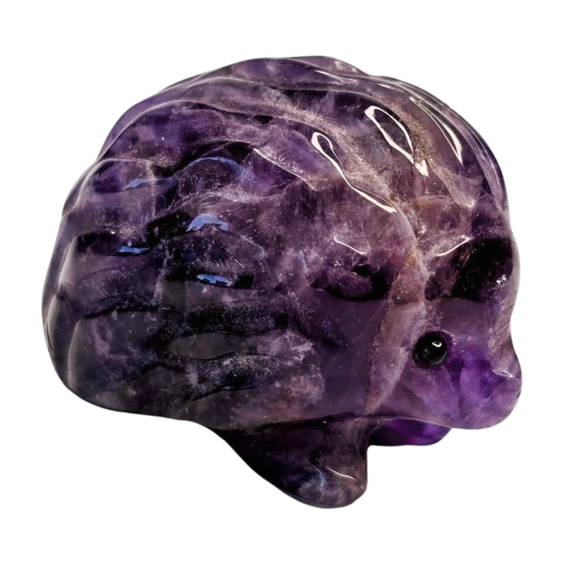 Amethyst Hedgehog