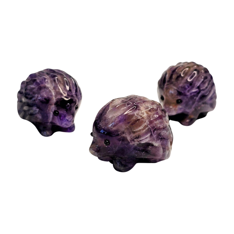 Amethyst Hedgehog