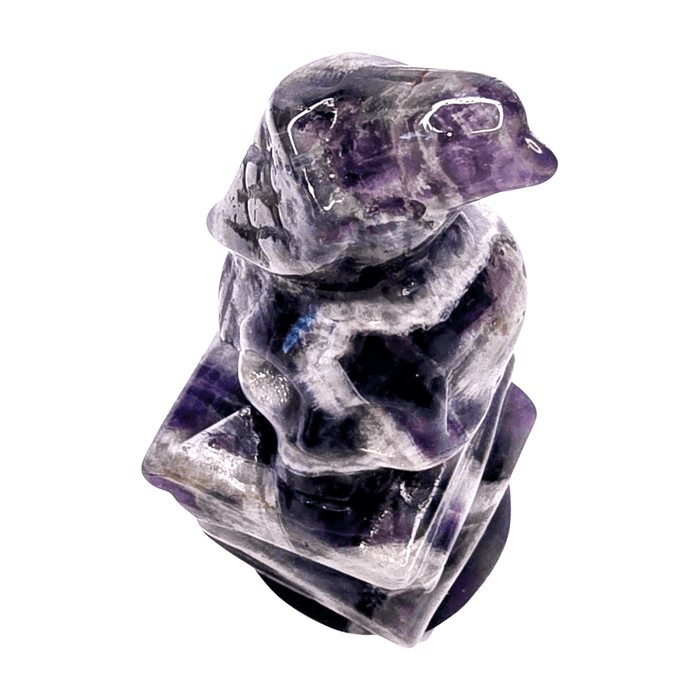 Chevron Amethyst Raven