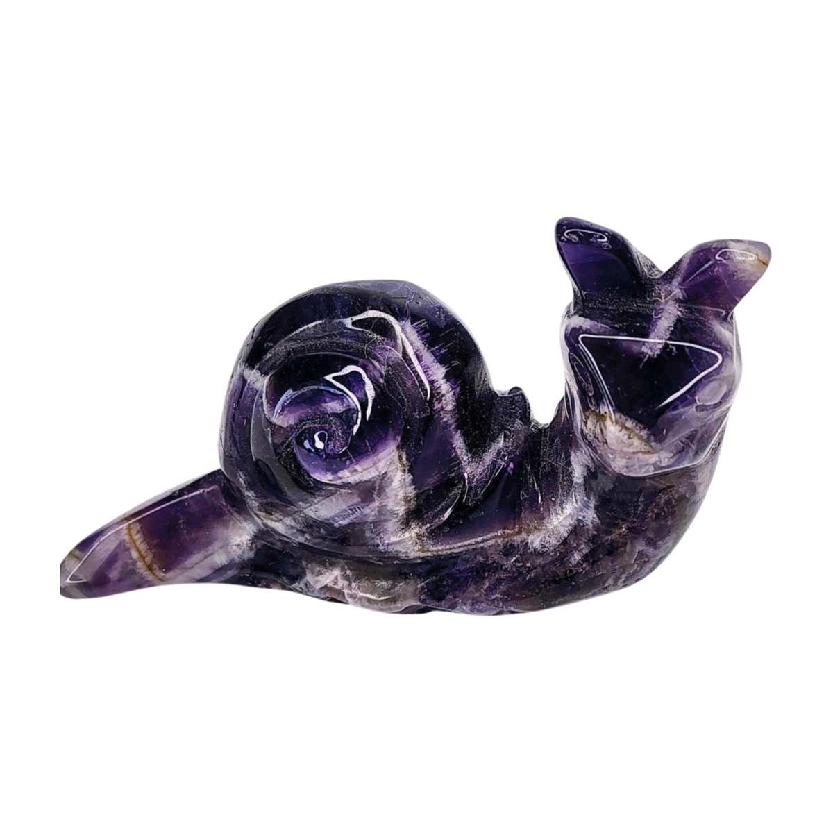 Chevron Amethyst Snail