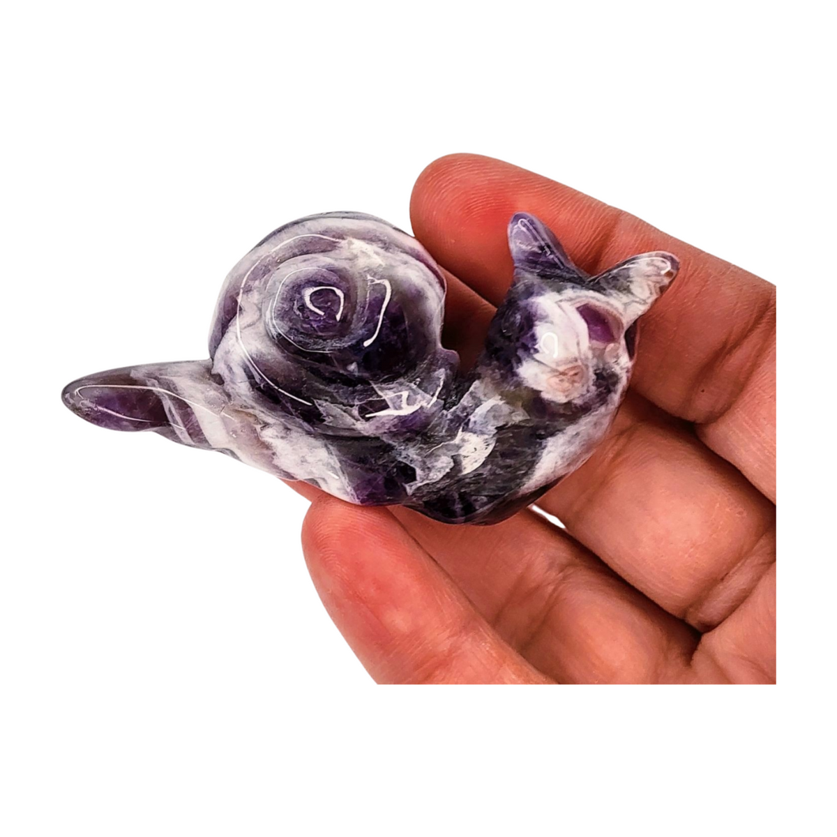 Chevron Amethyst Snail