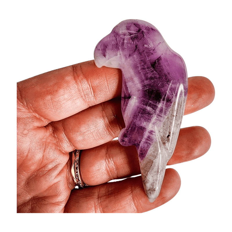 Amethyst Trapiche Carving