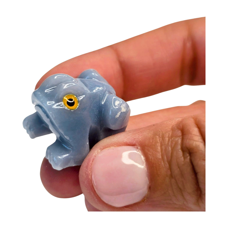 Angelite Frog - Extra Small