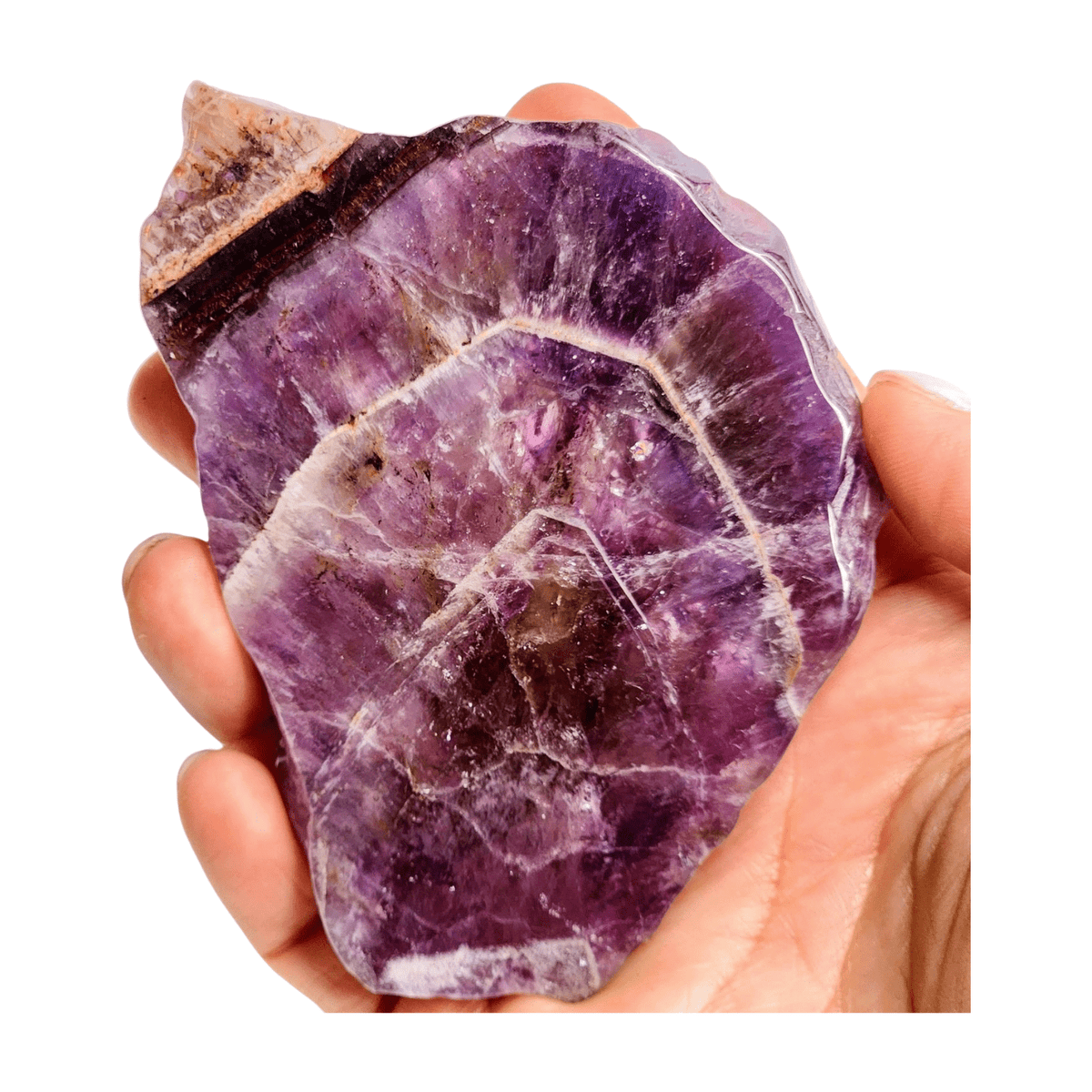 Auralite 23 Slice