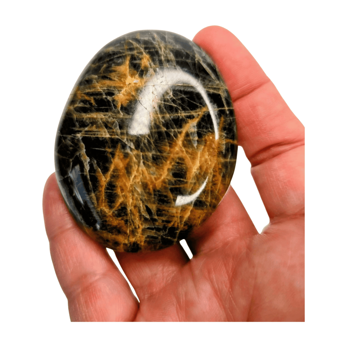 Black Moonstone Palm Stone