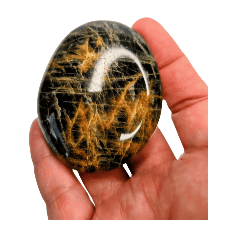 Black Moonstone Palm Stone