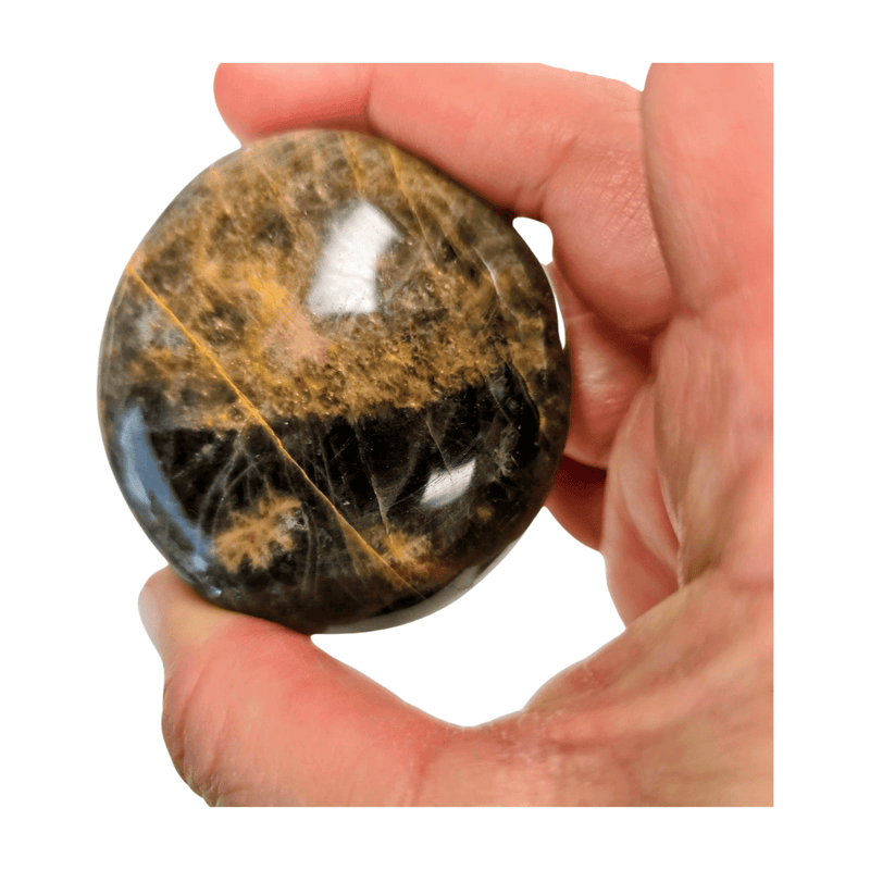 Black Moonstone Palm Stone