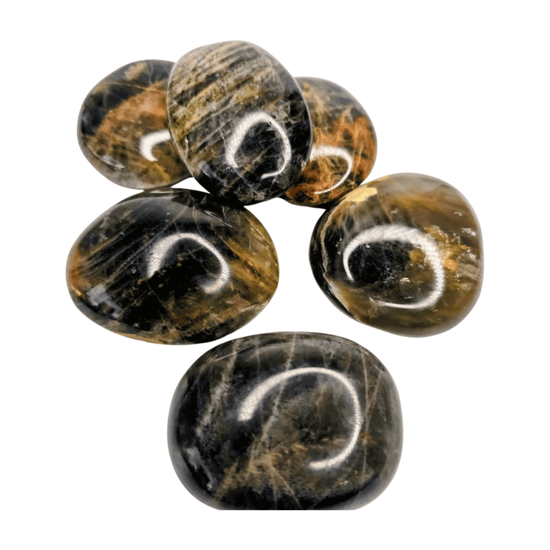 Black Moonstone Palm Stone