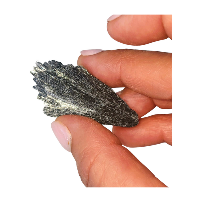 Black Kyanite Specimen - Extra Small