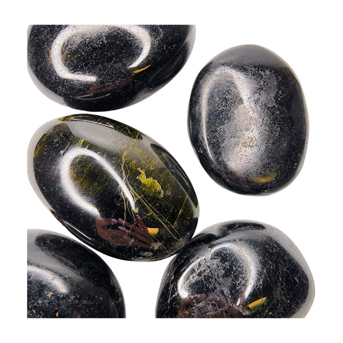 Black Tourmaline Palm