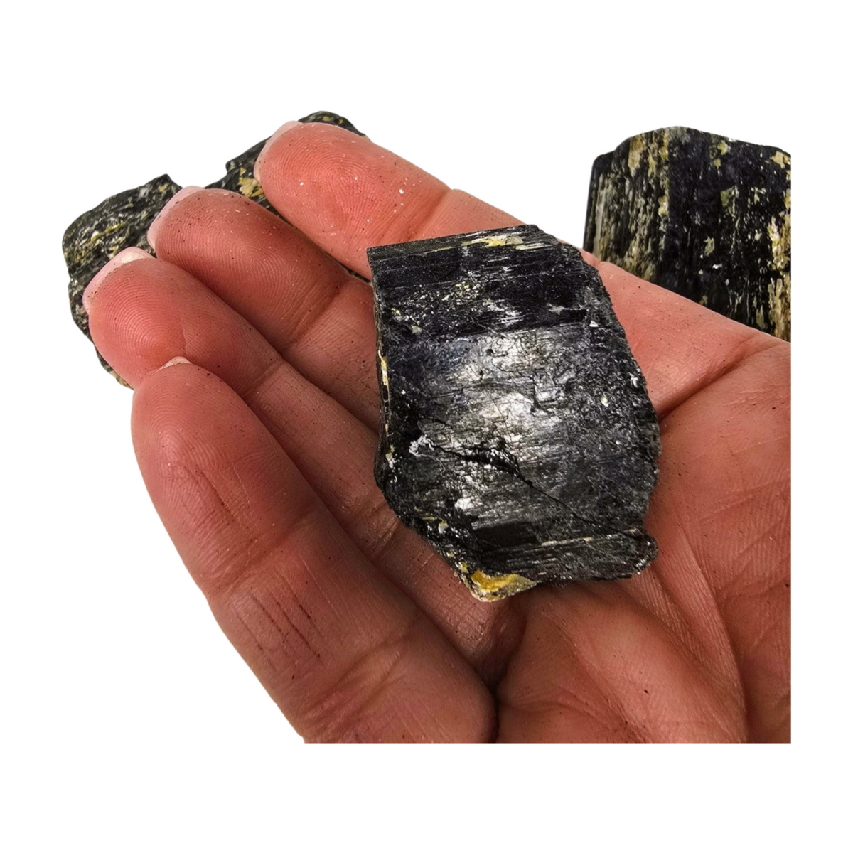 Black Tourmaline with Muscovite Mica Specimen