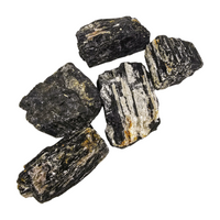 Black Tourmaline with Muscovite Mica Specimen