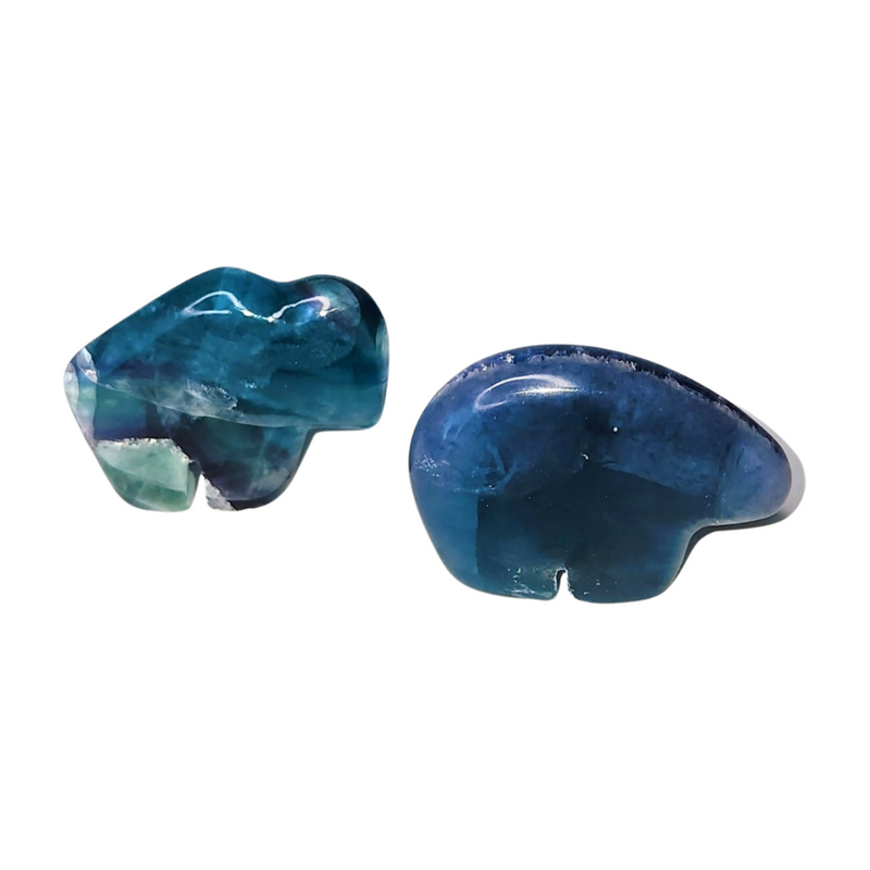 Blue Fluorite Buffalo - Small