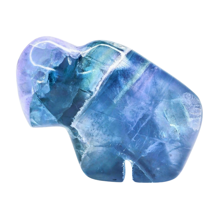 Blue Fluorite Buffalo - Medium