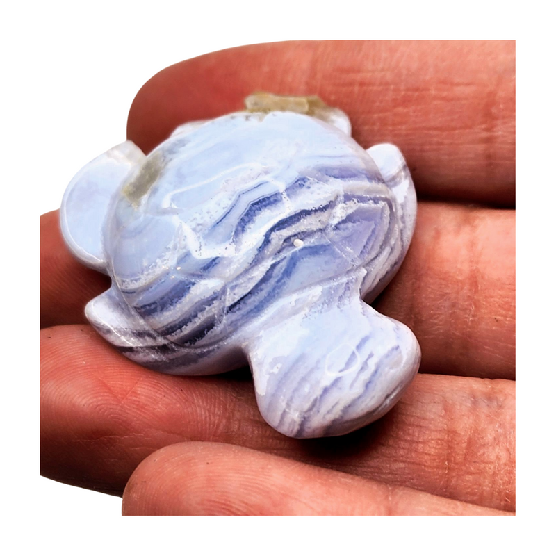 Blue Lace Agate Sea Turtle - Extra Small