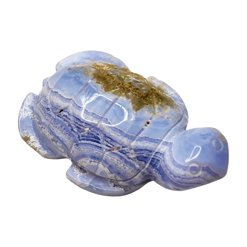 Blue Lace Agate Sea Turtle - Small