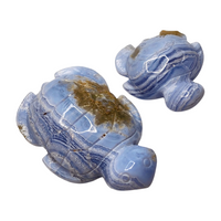 Blue Lace Agate Sea Turtle - Extra Small