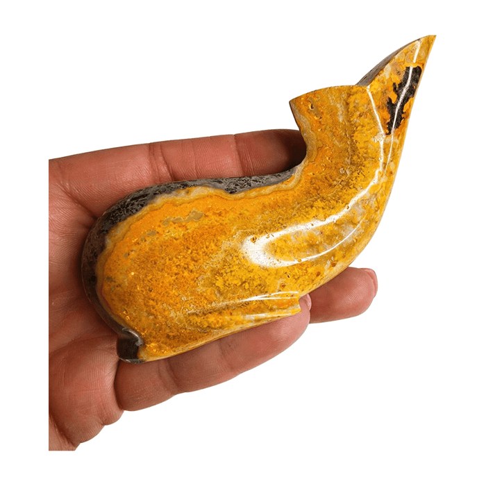 Bumblebee Jasper Whale