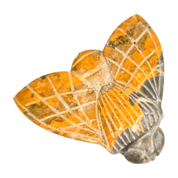 Bumblebee Jasper Bumblebee