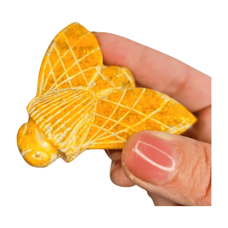 Bumblebee Jasper Bumblebee