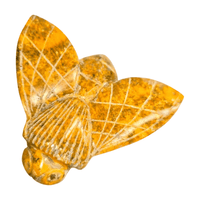 Bumblebee Jasper Bumblebee