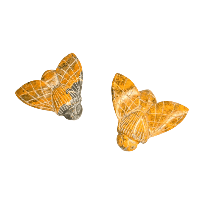 Bumblebee Jasper Bumblebee