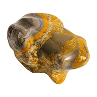 Bumblebee Jasper Frog