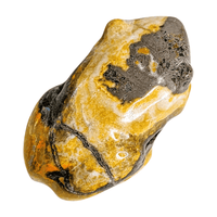 Bumblebee Jasper Frog