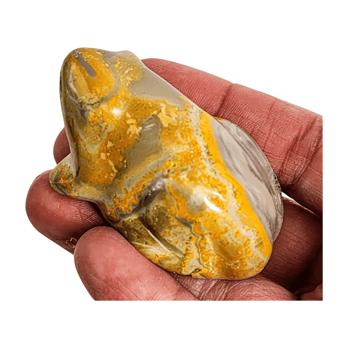 Bumblebee Jasper Frog