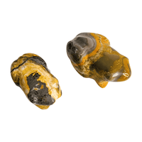 Bumblebee Jasper Frog