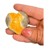 Bumblebee Jasper Heart