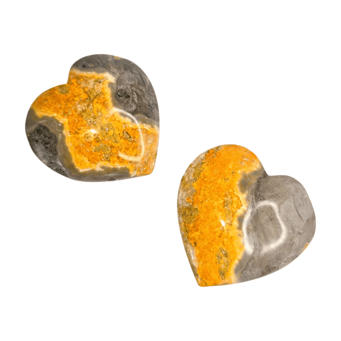 Bumblebee Jasper Heart